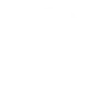 real estate agent